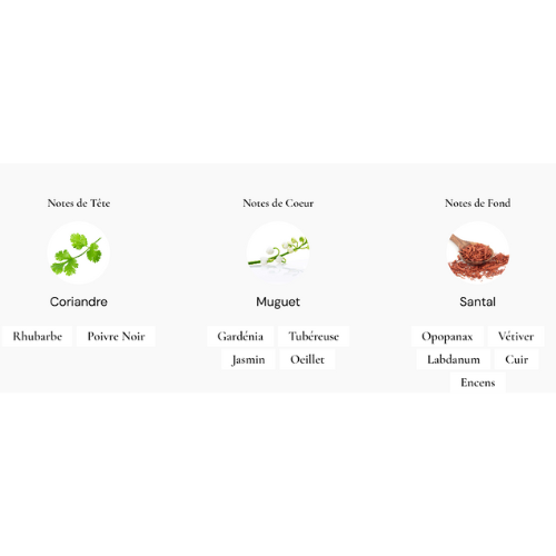 Honour 43 Woman | Amouage | Parfum pour femme | Parfumerie Maroc | Parfumerie Tetouan | Meilleur prix | Livraison rapide | Honour 43 Woman au meilleur prix au Maroc