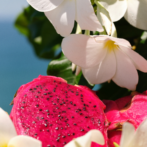 BRAZILIAN CRUSH CHEIROSA 68 - BRUME PARFUMÉE