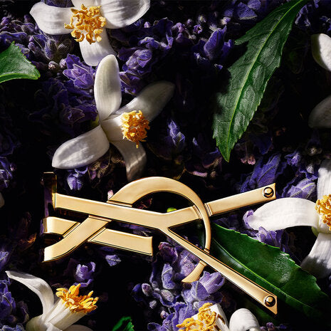 Libre eau de toilette – Parfum femme lumineux et spontané by YSL, disponible chez Parfumerie Passion au meilleur prix | Livraison rapide partout au Maroc