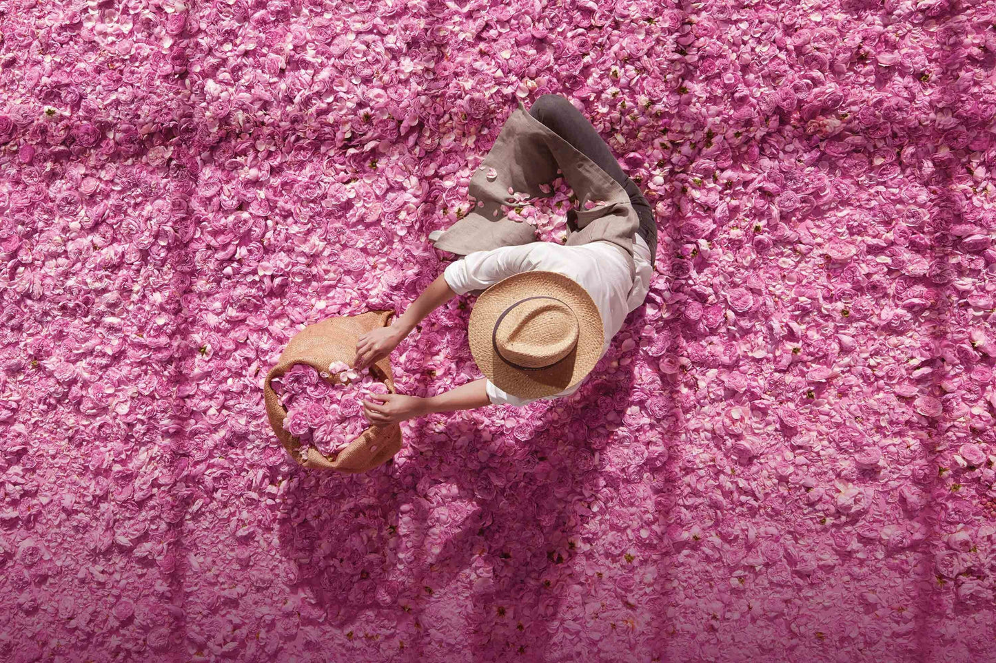 Miss Dior Huile de Rose – Soin corps floral à la rose fraîche | Original | Parfumerie Maroc | Livraison Rapide | Service client