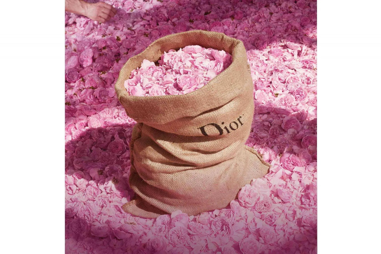 Miss Dior Absolutely Blooming – Parfum floral fruité | Produits authentique | Livraison Rapide partout au Maroc