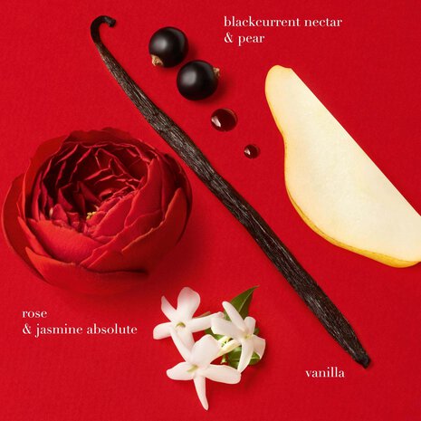 Parfum Sì Passione Armani – Coffret audacieux et romantique, disponible chez Parfumerie Passion au meilleur prix | Livraison rapide partout au Maroc