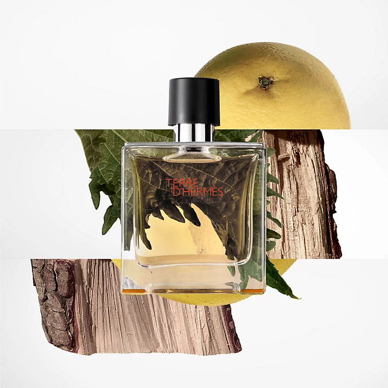Parfum Terre d’Hermès – Orange, patchouli et bois racés, disponible chez Parfumerie Passion au meilleur prix | Livraison rapide partout au Maroc