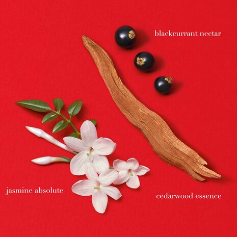 Sì Passione – Parfum iconique féminin signé Giorgio Armani, disponible chez Parfumerie Passion au meilleur prix | Livraison rapide partout au Maroc