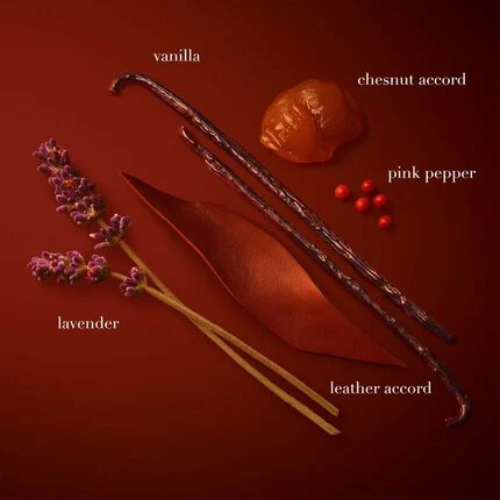 Stronger With You Parfum – Emporio Armani chez Parfumerie Passion au meilleur prix | Livraison rapide partout au Maroc