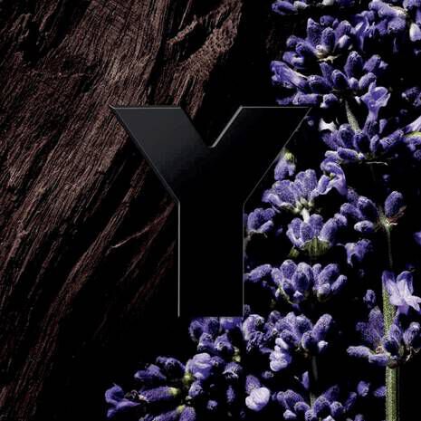 Y Le Parfum – Signature profonde et raffinée de YSL Homme, disponible chez Parfumerie Passion au meilleur prix | Livraison rapide partout au Maroc
