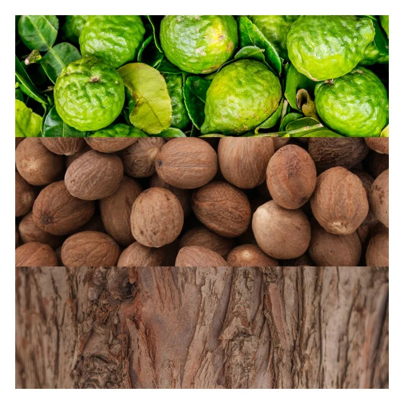 Parfum masculin sobre et racé, disponible chez Parfumerie Passion au meilleur prix | Livraison rapide partout au Maroc