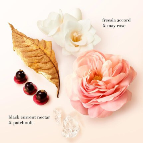 Coffret Armani Sì – Parfum et soins pour femme raffinée, disponible chez Parfumerie Passion au meilleur prix | Livraison rapide partout au Maroc