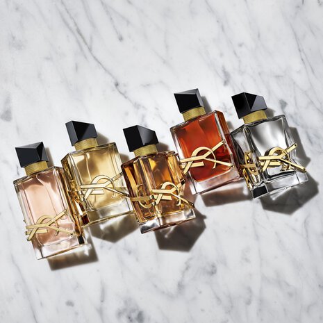 Libre L'Absolu Platine - Yves Saint Laurent (YSL) au Meilleur Prix Livraison Express | Maroc