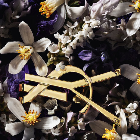 Libre L'Absolu Platine - Parfumerie En Ligne Maroc | Produits Authentiques