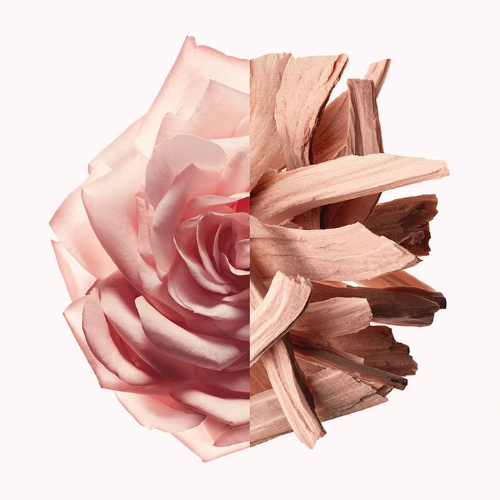 IRRESISTIBLE NUDE VELVET - EAU DE PARFUM