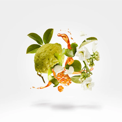 Naxos Parfum | Xerjoff | Notes de tabac, miel et épices | Parfumerie Maroc | Meilleur Prix | Livraison express au Maroc | Achat en ligne