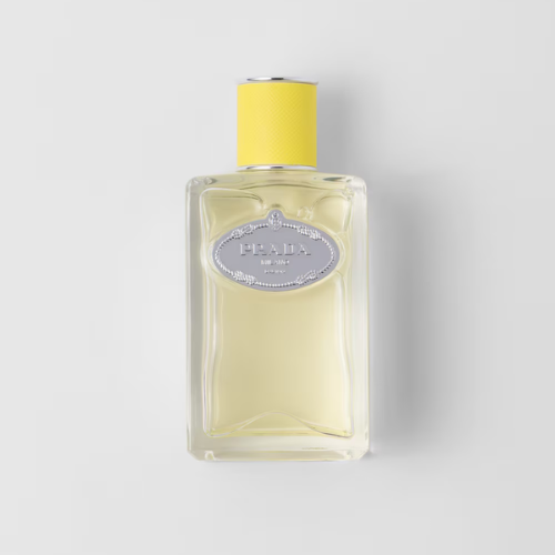 Infusion Ylang – Parfum équilibré à l’élégance florale, disponible chez Parfumerie Passion au meilleur prix | Livraison rapide partout au Maroc