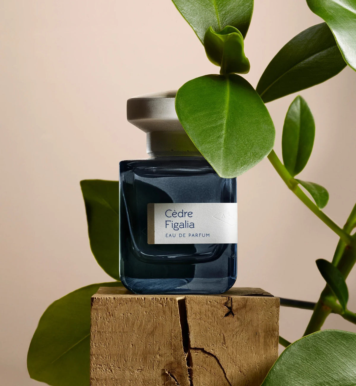 ATELIER MATERI CÈDRE FIGALIA - EAU DE PARFUM