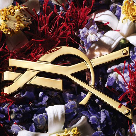 Libre Le Parfum - Yves Saint Laurent (YSL) au Meilleur Prix | Maroc