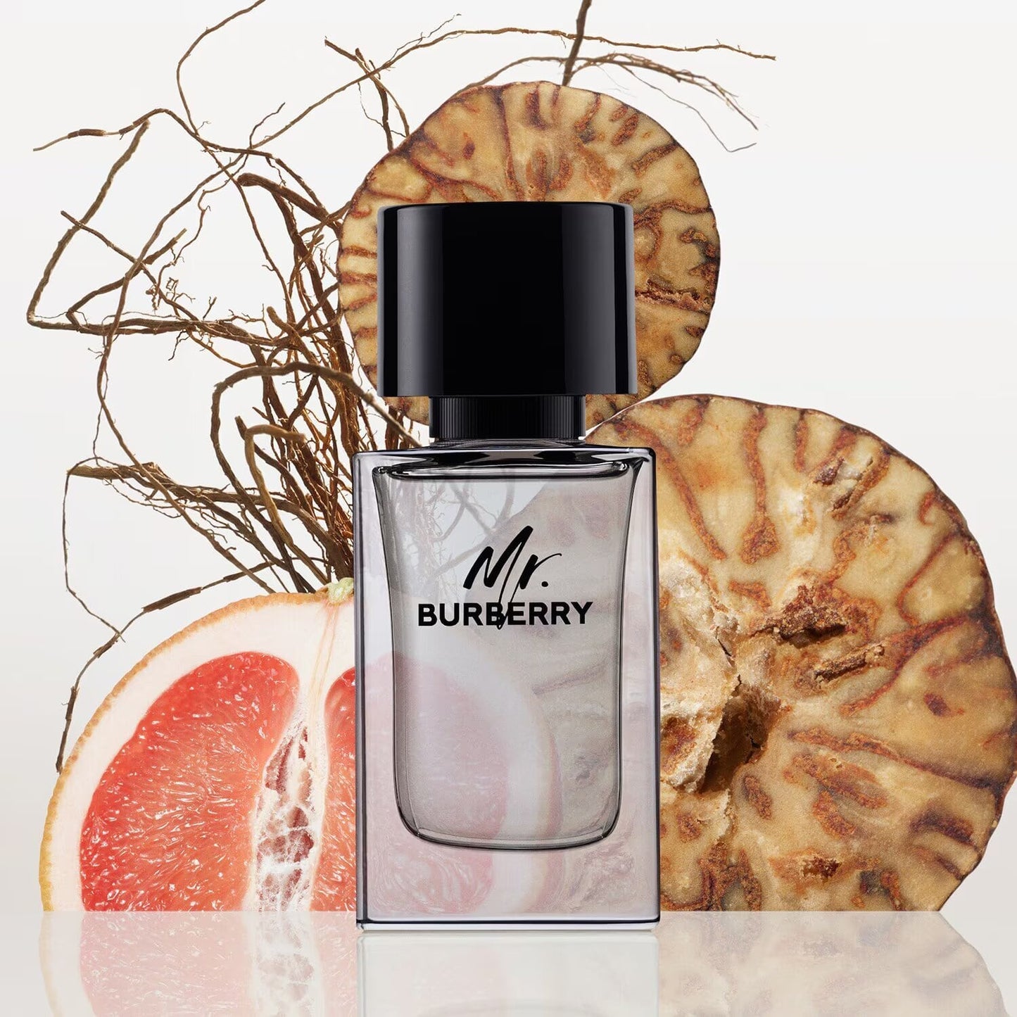 MR BURBERRY - EAU DE TOILETTE